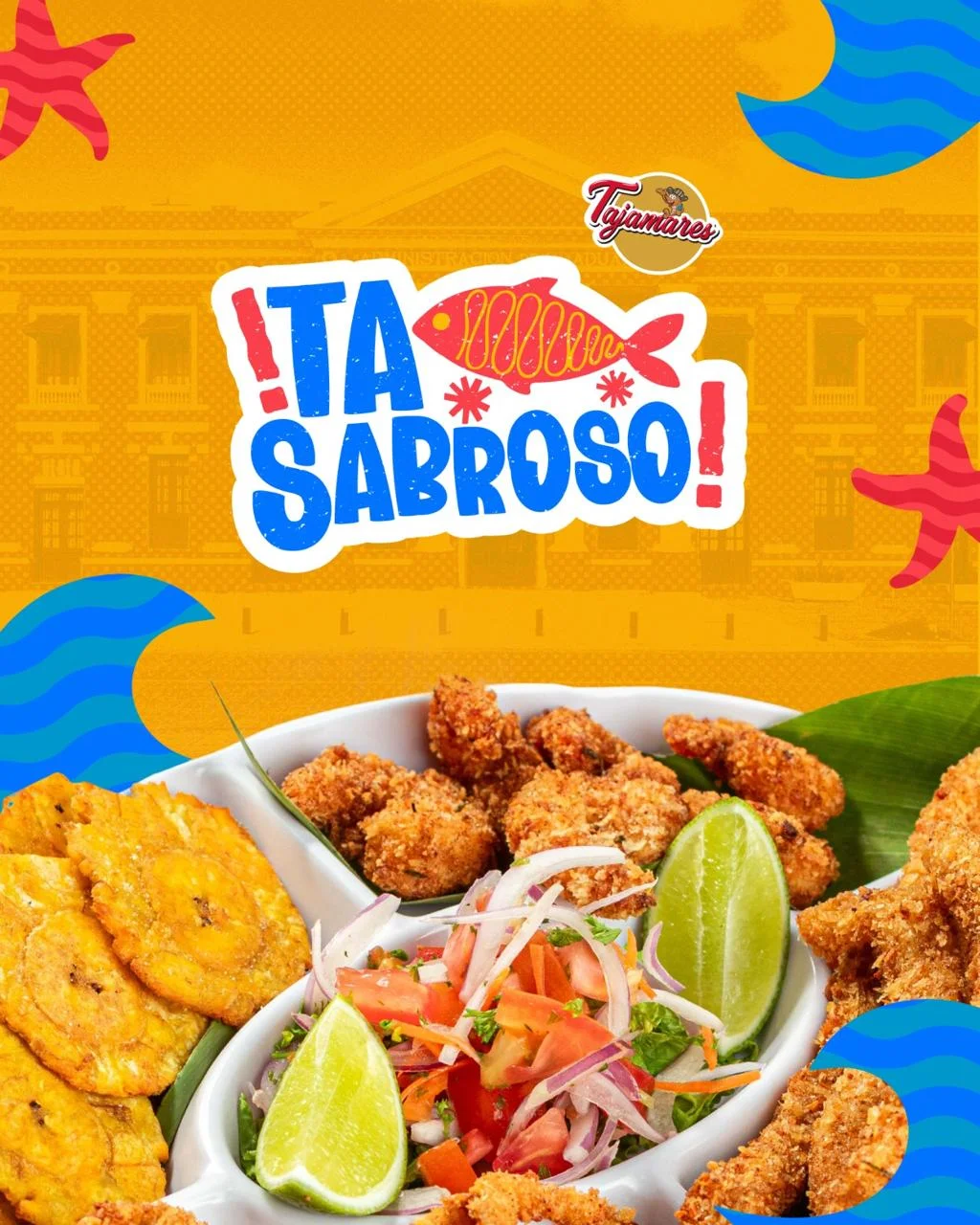 diseño visual imgs (12)