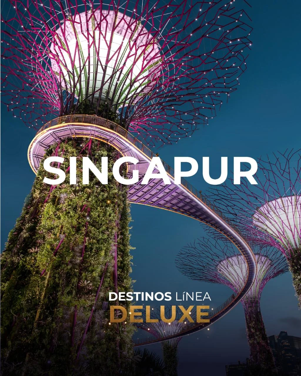 diseño visual imgs (2)